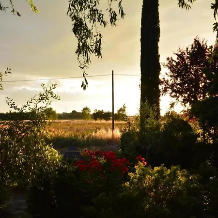 Belvilla By Oyo Luna Chiara Holiday home Sanfatucchio