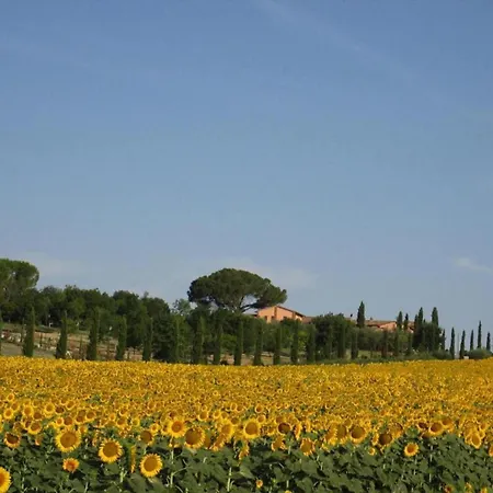 펜션 Di Chiusi With Pool Sanfatucchio