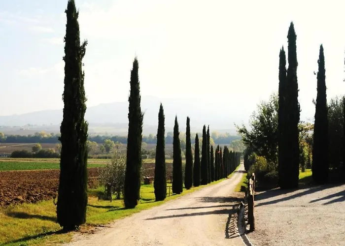 Di Chiusi With Pool Feriehus Sanfatucchio