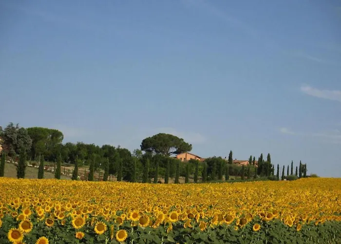 Feriehus Di Chiusi With Pool Sanfatucchio